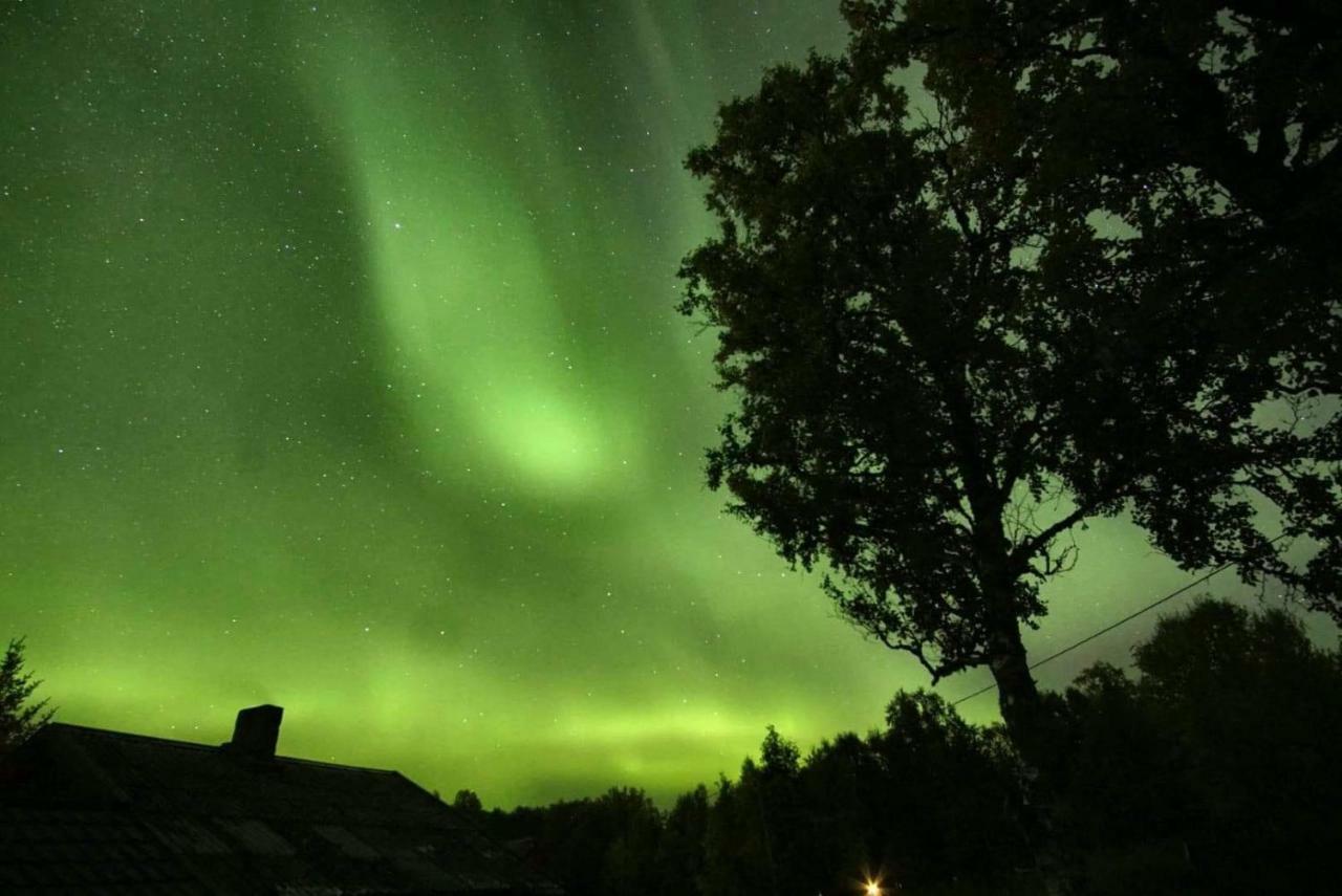 Karistua Villa Hansnes Eksteriør billede